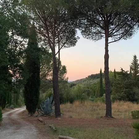 Pelagone Suvereto