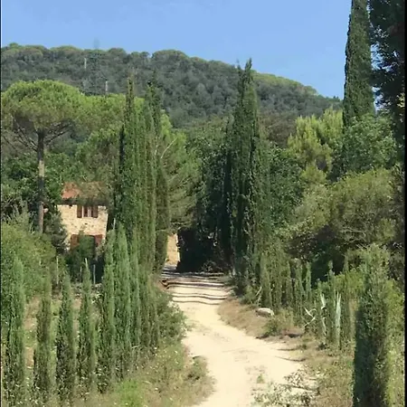 Pelagone Suvereto